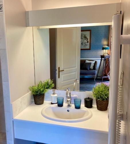 une salle de bain avec un lavabo et un miroir dans l'établissement Château Laborde Saint Martin, à Candé-sur-Beuvron