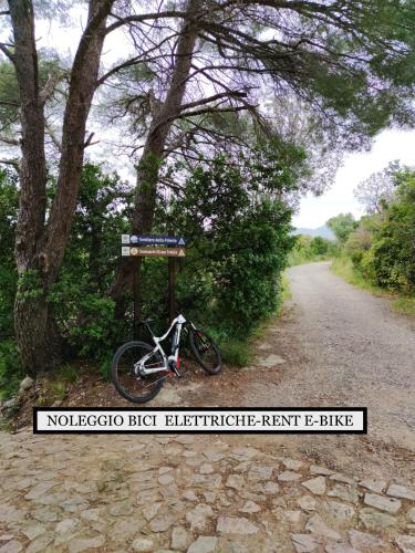 Residenza Punta Stendardoの敷地内または近くで楽しめるサイクリング