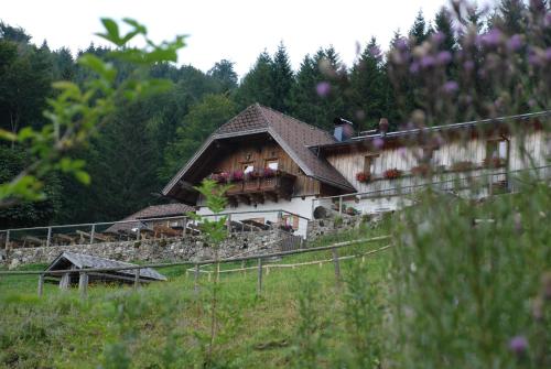 a house on the side of a hill at Ferienwohnung Hochsteinalm in Traunkirchen