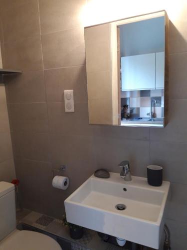 Koupelna v ubytování Le 112, confortable et cosy en plein centre d'Aix les Bains