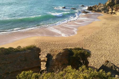 Conil paraíso