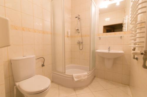 a bathroom with a toilet and a shower and a sink at Apartamenty Renesans in Krynica Zdrój
