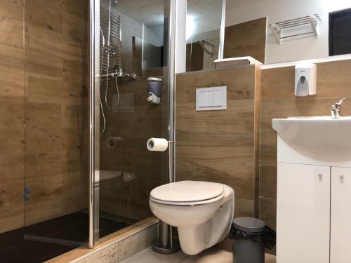 a bathroom with a shower and a toilet and a sink at Pensiunea SADA in Făgăraş
