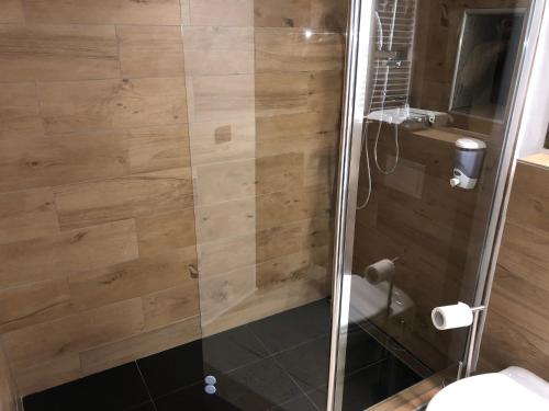 a bathroom with a shower with a glass door at Pensiunea SADA in Făgăraş