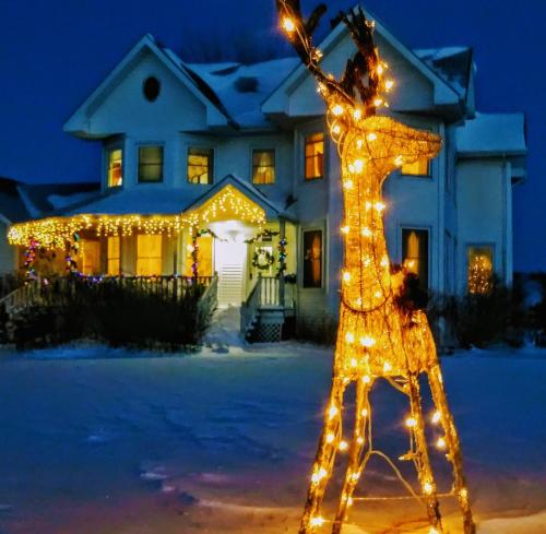 a christmas lighted reindeer in front of a house at Twin Peaks B&B in Mindemoya
