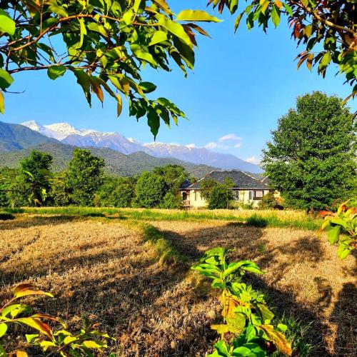a farm field with mountains in the background at Seclude Palampur in Pālampur