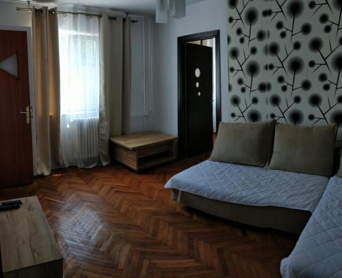 コンスタンツァにあるConstanta City Apartmentのリビングルーム(ソファ、テーブル付)