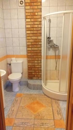 a bathroom with a toilet and a shower at U Krzysztofa in Kopalino