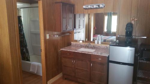 uma cozinha com um frigorífico e um lavatório. em Alpine Moose Lodge em Lake City