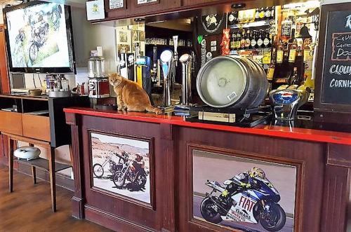eine Katze, die auf dem Tresen einer Bar sitzt in der Unterkunft The Victoria Bikers Pub - Live Music Venue and Letting Rooms with Camping facilities in Coalville