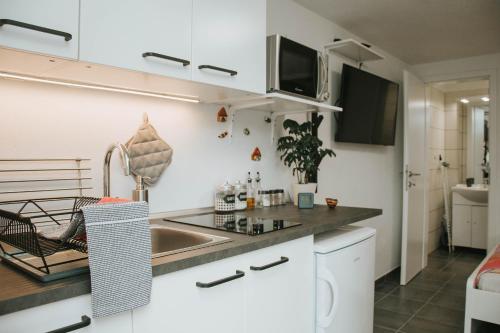 eine Küche mit einer Spüle und einer Arbeitsplatte in der Unterkunft Studio Pod hruško in Kobarid