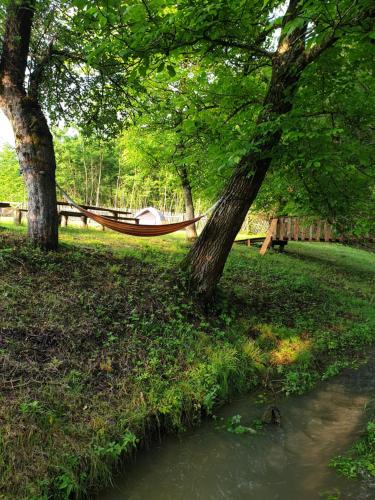 a hammock hanging between two trees next to a river at Casutele din Grosi in Groşi