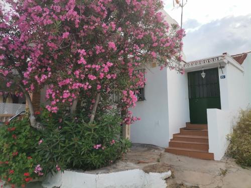 Cortijo Vallejo, Malaga, Spain