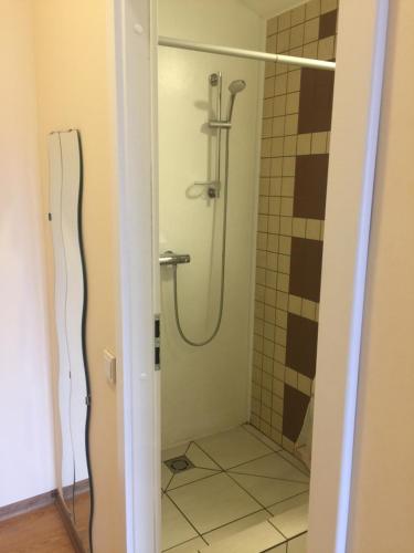 eine Dusche im Bad mit Glastür in der Unterkunft Perla 12 butas in Birštonas