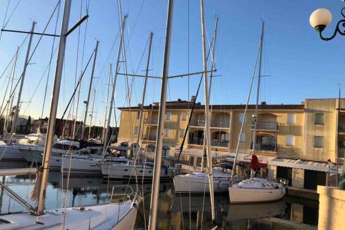 a group of boats docked in a marina at Charming apartment in Port Grimaud in Grimaud