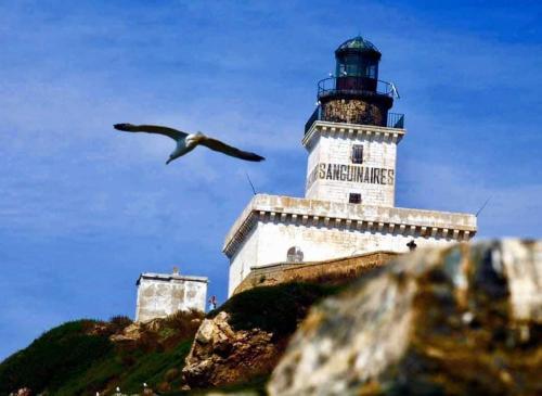 a bird flying in front of a lighthouse at Suite Les Couchants in Porticcio