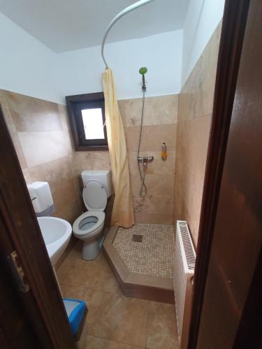 a small bathroom with a toilet and a shower at Daiana Residence Cabane in Turda