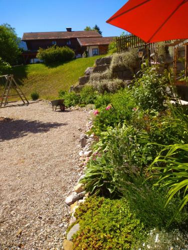 a cat walking down a gravel path with an umbrella at Hotel Garni Forsthaus Ruhpolding in Ruhpolding