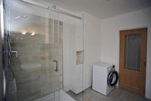 a bathroom with a shower with a glass door at Apartmán Zuzka in Jeseník