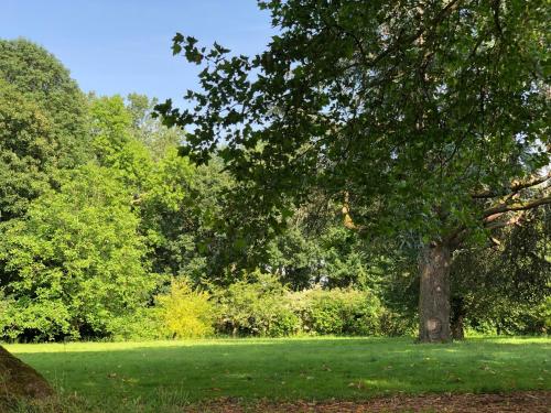 La villa rochette – Photos 2