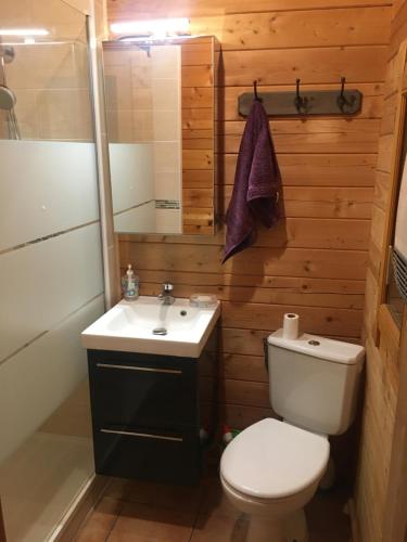 e bagno con servizi igienici, lavandino e doccia. di chalet 143 bassin d'Arcachon a La Teste-de-Buch