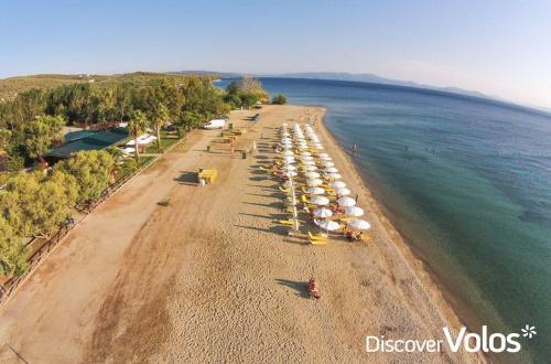 BLUE DREAM Koropi Pelion Milies South Pelion