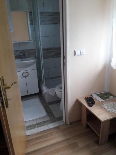 a bathroom with a toilet and a sink at Rooms Luka in Korenica