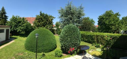 a garden with three large bushes and hedges at HAuszeit - Zeit für dich - Zeit am See in Neufeld an der Leitha