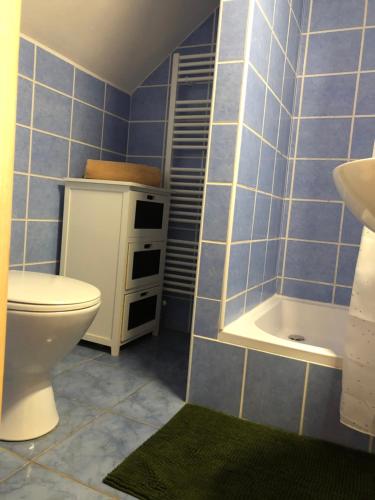 Baño de azulejos azules con aseo y lavamanos en Privát Migáč en Vrbov