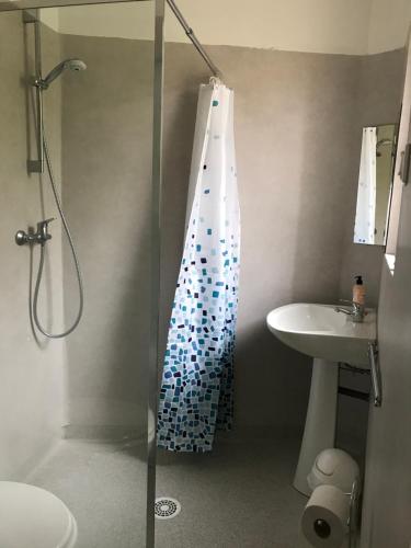 a bathroom with a glass shower with a sink at Residence Le petit paradis - La petite maison in Labastide-Rouairoux