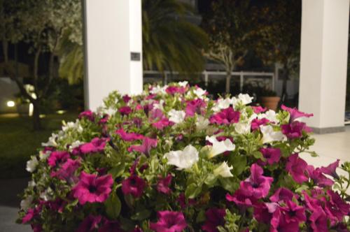 Κήπος έξω από το Hotel Fortunella