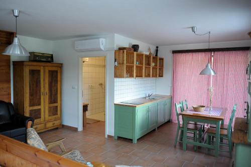eine Küche mit einem Waschbecken und einem Tisch in einem Zimmer in der Unterkunft APARTMAJI GOSPOUD SRMAK in Murska Sobota
