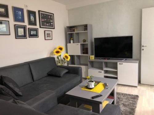 uma sala de estar com um sofá e uma televisão em Sunce em Kruševac