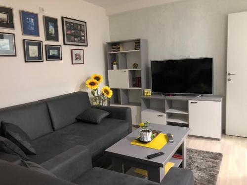 TV a/nebo společenská místnost v ubytování Sunce
