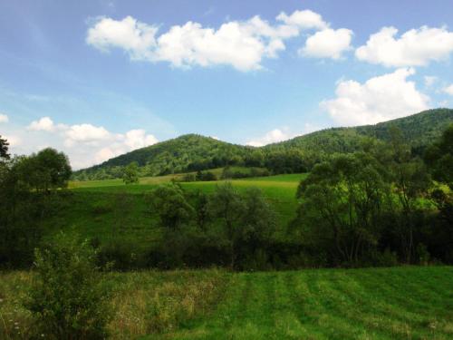 a green field with trees and mountains in the background at Michniowiec 6 in Czarna