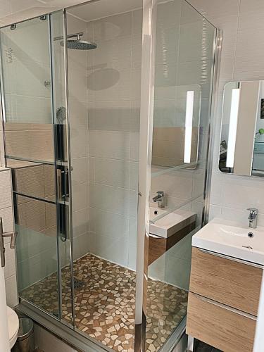 une salle de bain avec douche et lavabo dans l'établissement Duplex Fossorier - BALCON CENTRE VILLE -, à Deauville