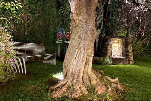a tree and a bench in a yard with a tree at Pietraverdemare in Vallebona