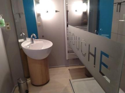 Vonios kambarys apgyvendinimo įstaigoje B&B Hoeven Het Gehucht