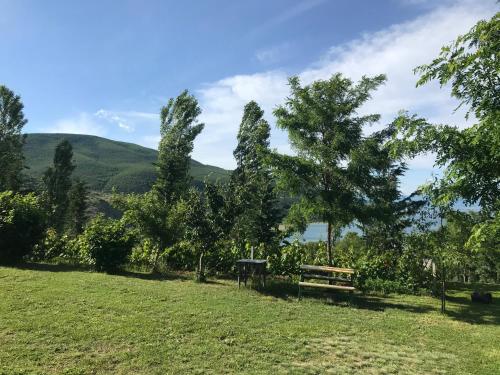 a park with trees and a bench in the grass at Hotel Camping Lin in Pogradec