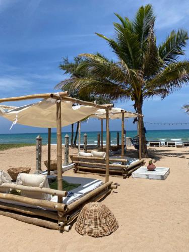 a group of beach chairs and umbrellas on a beach at Memo's Beach in Nilaveli