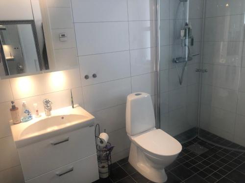 La salle de bains est pourvue de toilettes, d'un lavabo et d'une douche. dans l'établissement Fjällbacka Centralt, à Fjällbacka