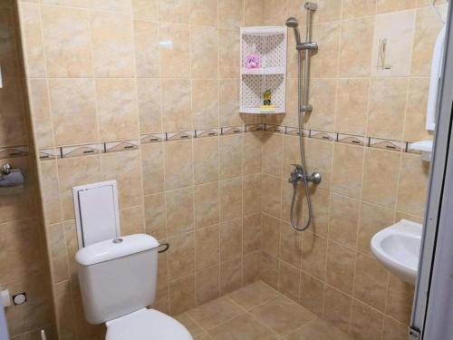 バルチクにあるApartment Flowerのバスルーム(シャワー、トイレ、シンク付)