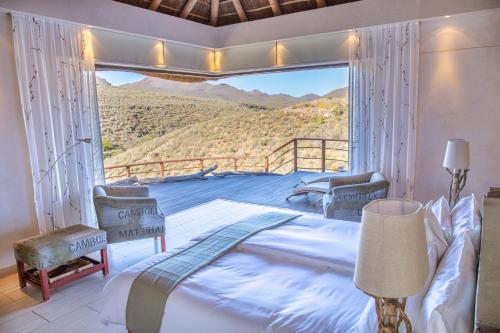 Bilde i galleriet til White Lion Lodge on Sanbona i Montagu