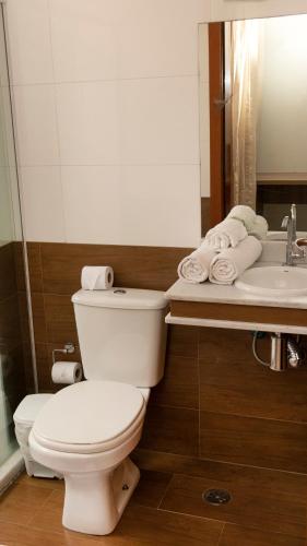 a bathroom with a toilet and a sink at Hotel Jabuticaba Expo Center Norte in São Paulo