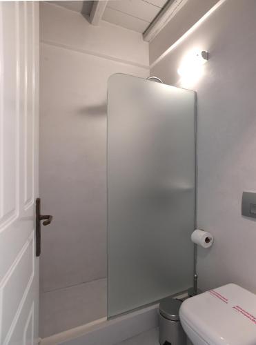 a bathroom with a toilet and a glass shower door at Nostos Beachfront Apartments & Studios in Agios Ioannis Tinos