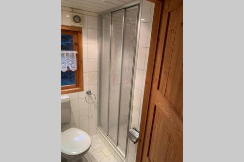 ein Bad mit einer Dusche und einem WC in der Unterkunft Blockhütte in Rostock Land in Papendorf