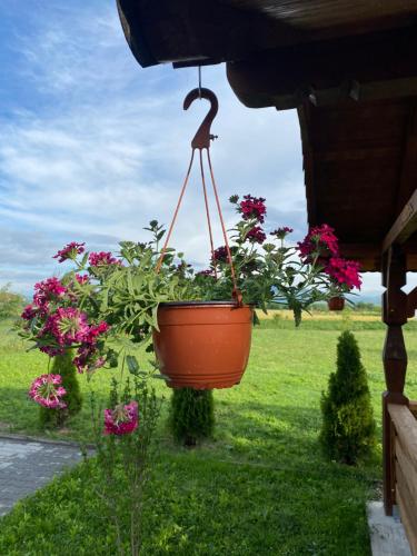 an orange pot of flowers hanging from a porch at Absolut Residence Hateg in Haţeg