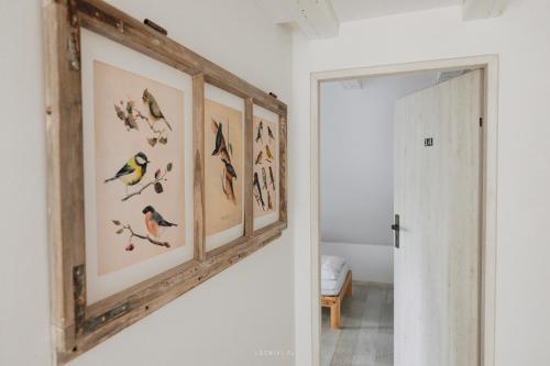 un couloir avec quatre images encadrées d'oiseaux sur un mur dans l'établissement Leśniki, à Babimost