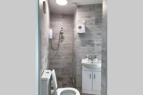 a bathroom with a toilet and a sink at Robin's Nest in Donegal