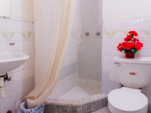 ein Bad mit einem WC, einem Waschbecken und einer Dusche in der Unterkunft Nápoles Emperador II in Ambato